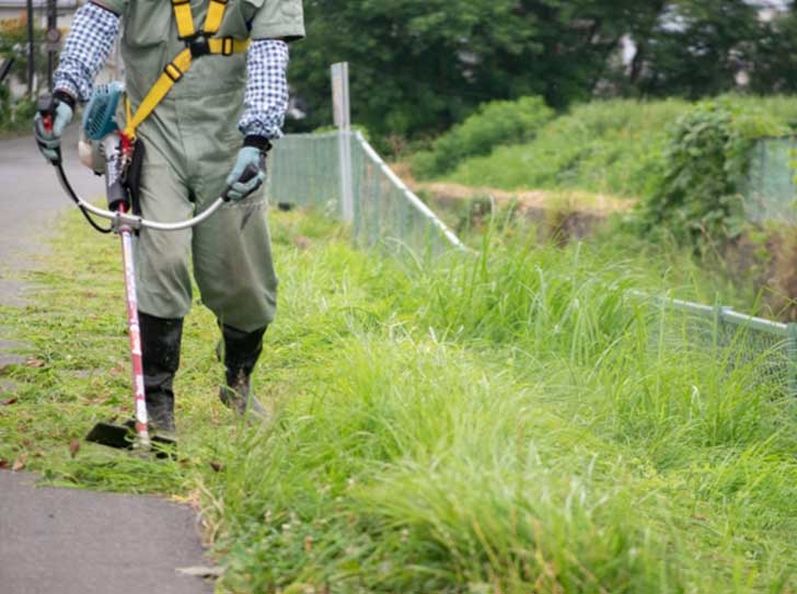 雑工除草