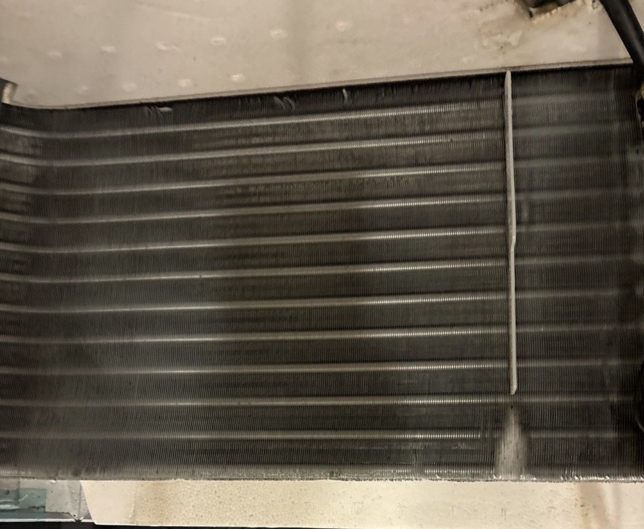 リブクリーンサービス2026年2月